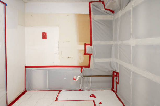 Best Attic Mold Removal  in Leisure Knoll, NJ