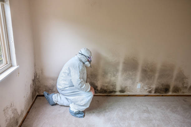 Mold Documentation for Insurance Claims in Leisure Knoll, NJ