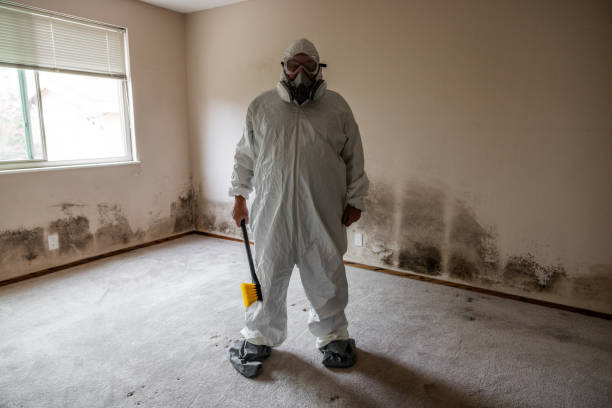 Asbestos and Lead Testing During Mold Inspection